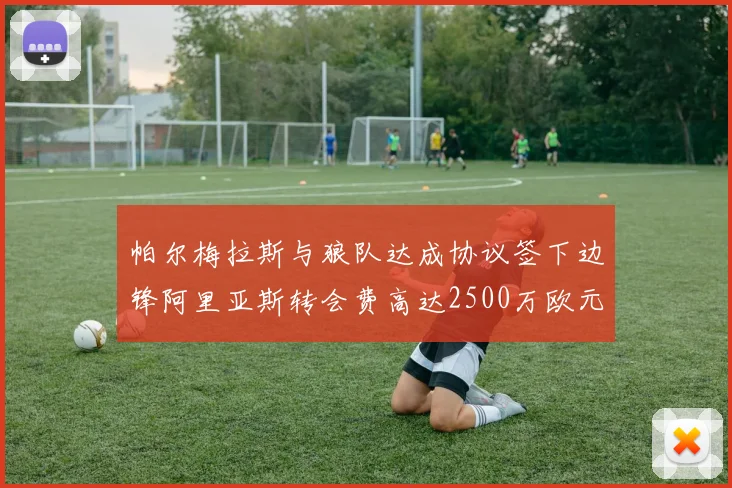 帕尔梅拉斯与狼队达成协议签下边锋阿里亚斯转会费高达2500万欧元
